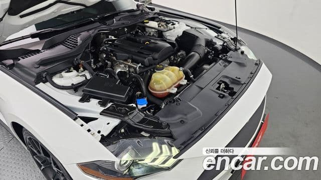 Ford Mustang кабриолет, 2021 6