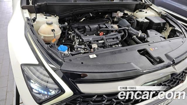 Kia Sportage 5세대 Signature Gravity, 2023 6