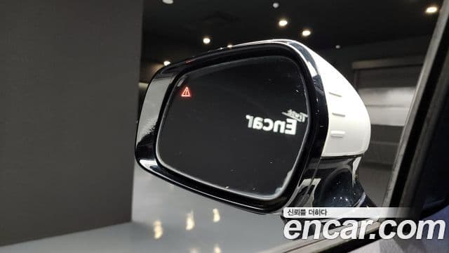 Kia Carnival 4세대 Prestige, 2021 8