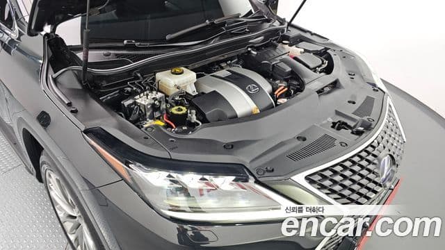 Lexus RX450hL 4세대 Luxury Plus, 2021 6