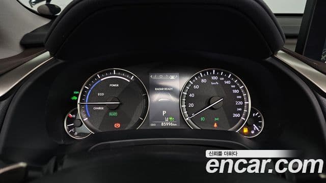 Lexus RX450hL 4세대 Luxury Plus, 2021 8