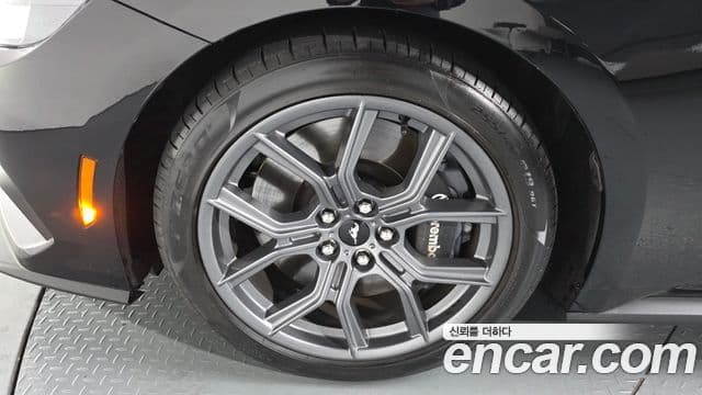 Ford Mustang 7세대 2.3 EcoBoost Premium купе, 2024 все фото