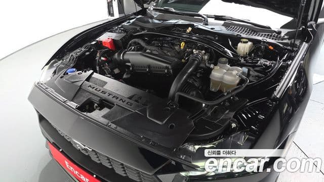 Ford Mustang 7세대 2.3 EcoBoost Premium купе, 2024 6