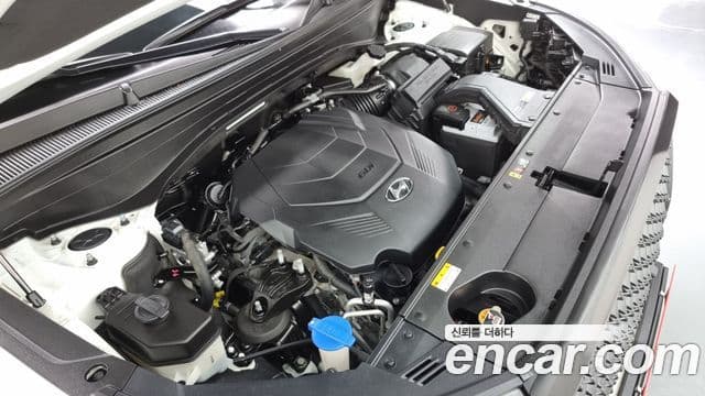 Hyundai Palisade Prestige, 2020 6