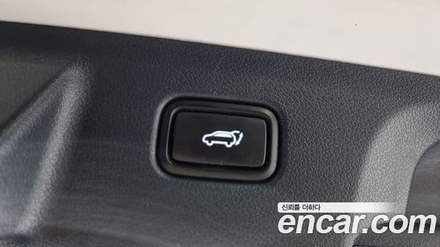 Hyundai Palisade Prestige, 2020 20