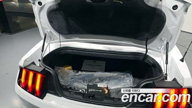 Ford Mustang GT кабриолет, 2020 20