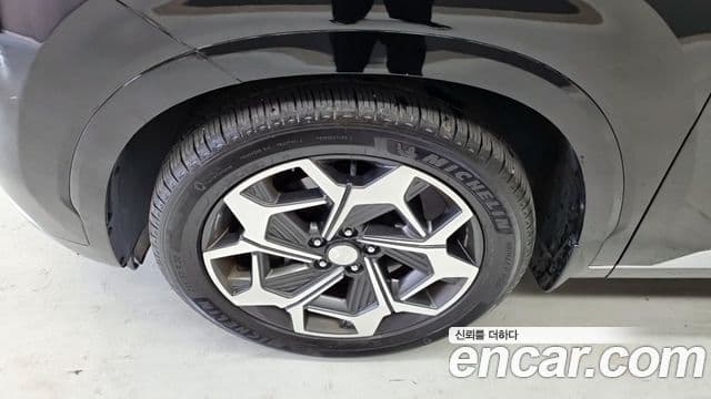 Hyundai Palisade Calligraphy, 2021 все фото