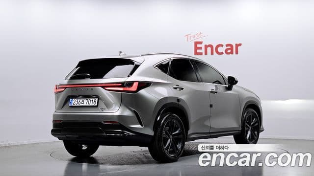 Lexus NX350h 2세대 Premium, 2025 2