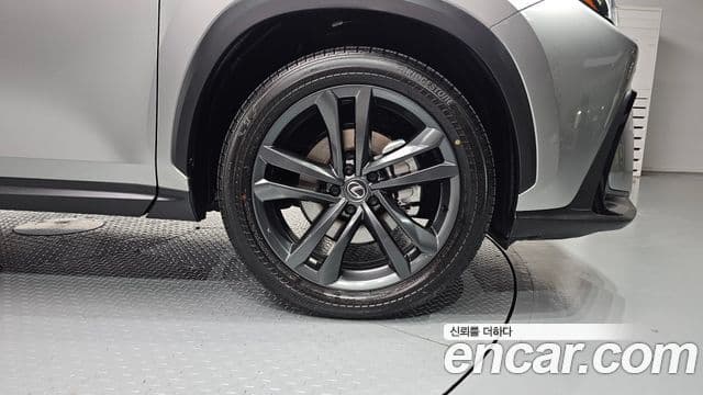 Lexus NX350h 2세대 Premium, 2025 все фото
