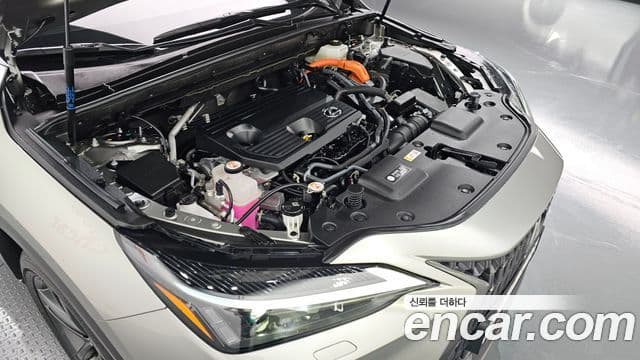 Lexus NX350h 2세대 Premium, 2025 6