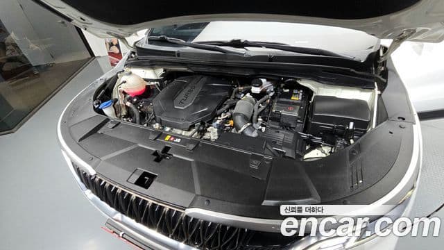Kia Carnival 4세대 Prestige, 2021 6