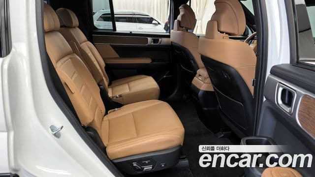 Hyundai Santa Fe (MX5) Calligraphy, 2024 12