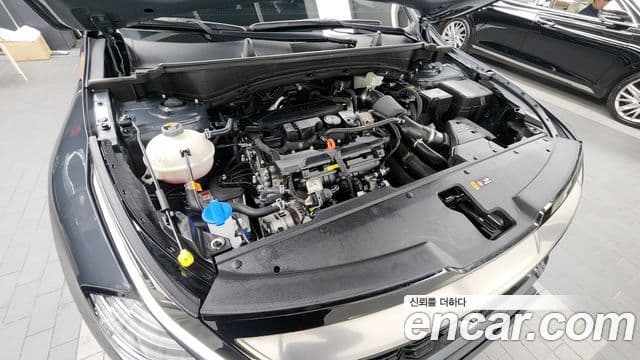 Kia Sportage 5세대 Signature, 2024 6