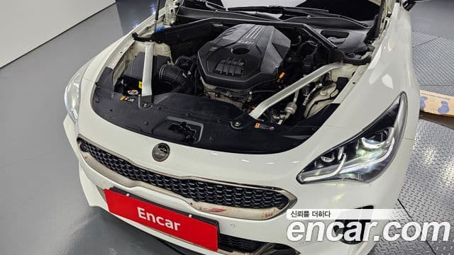 Kia 스팅어 Platinum, 2019 6