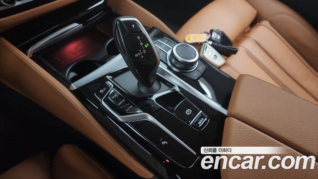 BMW 5시리즈 (G30) Luxury, 2022 9