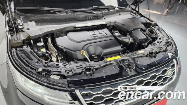 Land Rover Range Rover Evoque 2세대 P250 SE, 2020 6