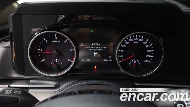 Kia Carnival 4세대 Prestige, 2021 8