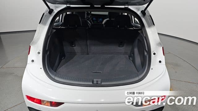 Chevrolet(GM대우) 볼트 EV EV LT Deluxe, 2020 20