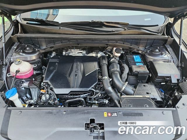 Kia Sorento 4세대 Noblesse, 2021 14