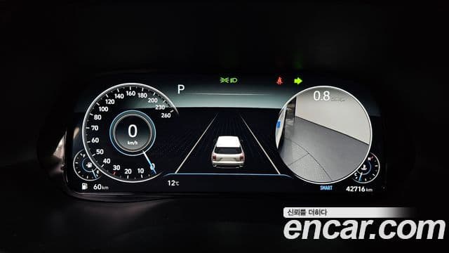 Hyundai Palisade Prestige, 2021 8