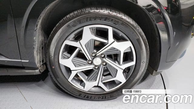 Hyundai Palisade Calligraphy, 2021 все фото