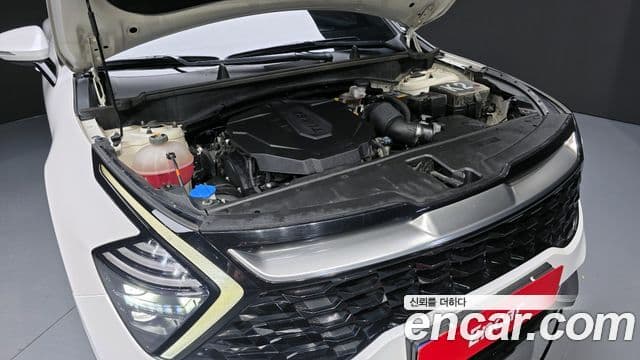 Kia Sportage 5세대 Signature, 2022 6