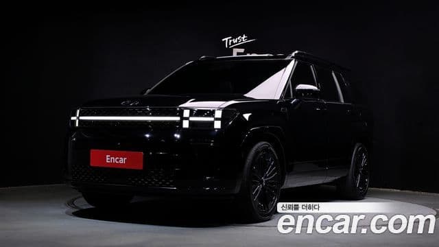 Hyundai Santa Fe (MX5) Calligraphy, 2024 1