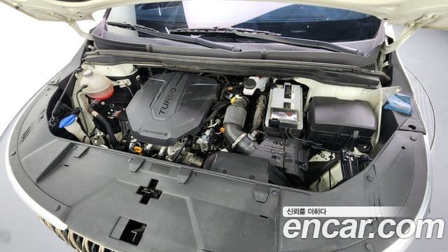 Kia Carnival 4세대 Signature, 2021 6