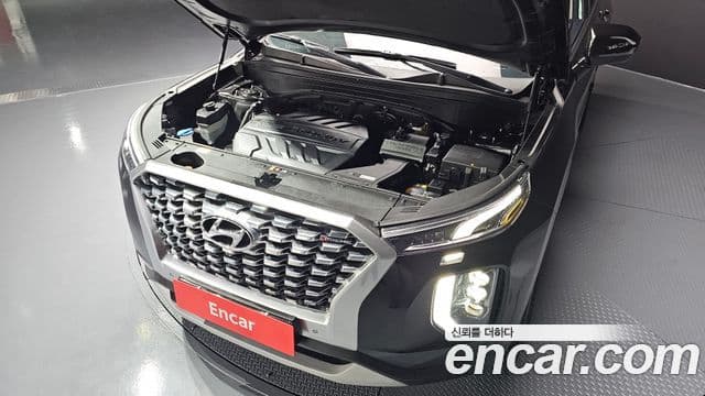 Hyundai Palisade Prestige, 2020 6