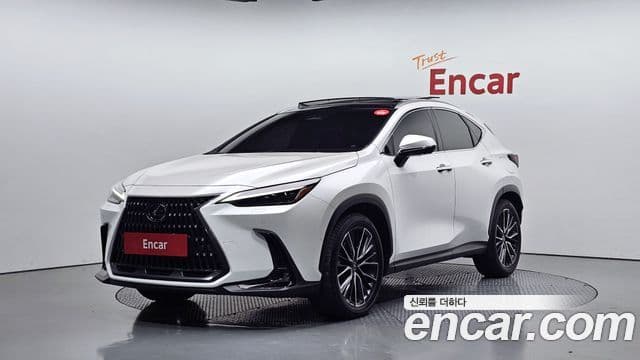 Lexus NX350h 2세대 Luxury, 2025 1