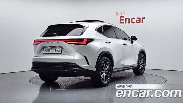 Lexus NX350h 2세대 Luxury, 2025 2