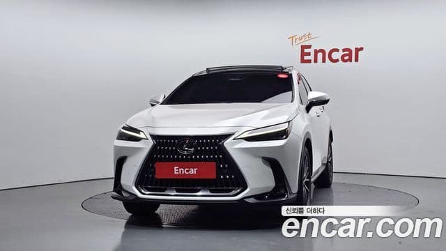 Lexus NX350h 2세대 Luxury, 2025 3