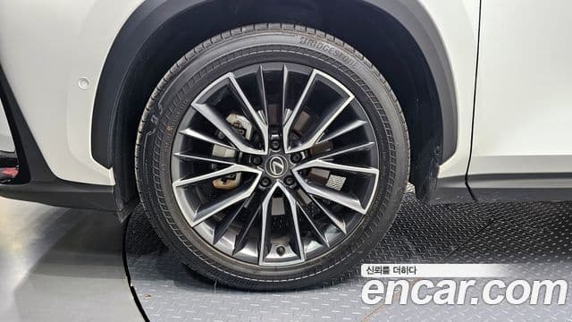 Lexus NX350h 2세대 Luxury, 2025 все фото