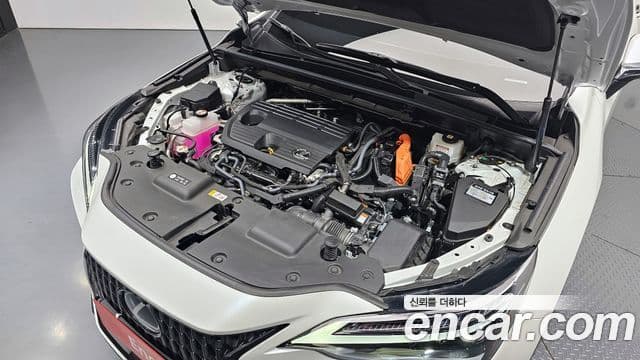 Lexus NX350h 2세대 Luxury, 2025 6