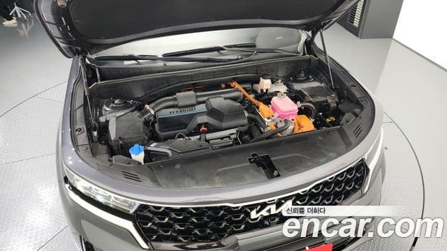 Kia Sorento 4세대 Noblesse, 2022 6