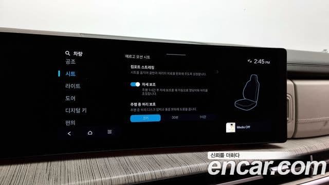 Hyundai Santa Fe (MX5) Calligraphy, 2024 17