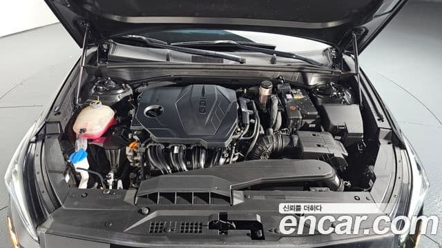 Kia K8 Noblesse, 2022 6