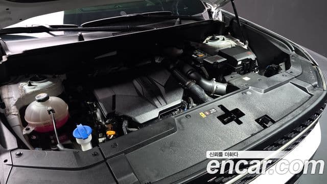 Hyundai Santa Fe (MX5) Calligraphy, 2024 6