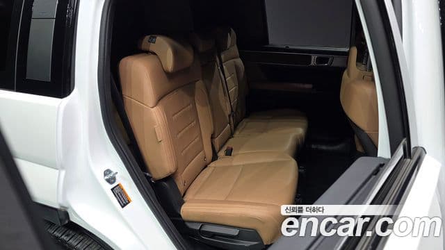 Hyundai Santa Fe (MX5) Calligraphy, 2024 11