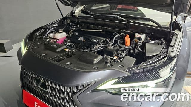 Lexus NX350h 2세대 Premium, 2022 6