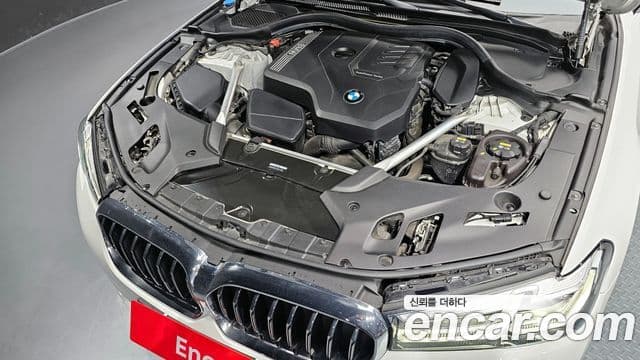 BMW 5시리즈 (G30) Luxury, 2022 6