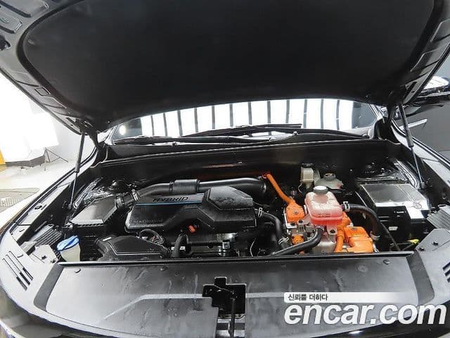 Kia Sorento 4세대 Noblesse, 2021 6