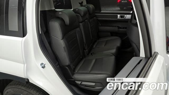 Hyundai Santa Fe (MX5) Calligraphy, 2024 12