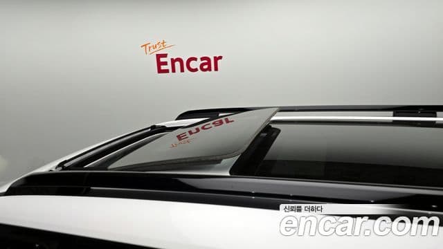 Hyundai Santa Fe (MX5) Calligraphy, 2024 19