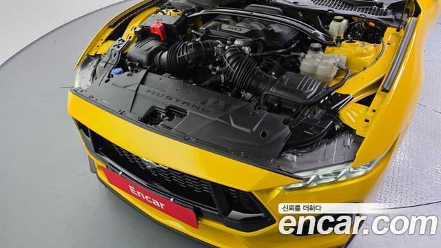Ford Mustang 7세대 5.0 GT Premium кабриолет, 2024 6