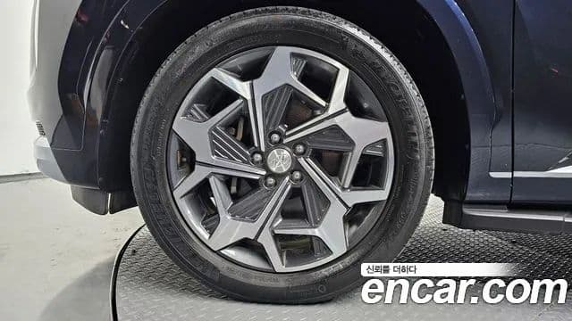 Hyundai Palisade Calligraphy, 2021 все фото