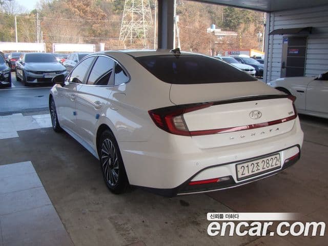 Hyundai Sonata гибрид (DN8) Family, 2020 все фото