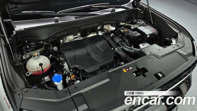 Hyundai Santa Fe (MX5) Calligraphy, 2024 6