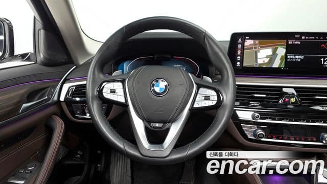 BMW 5시리즈 (G30) Luxury, 2023 13