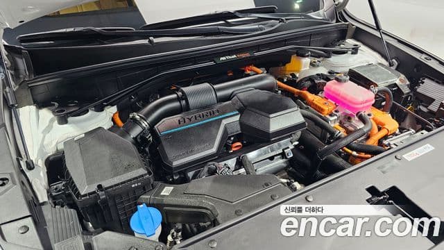 Kia Sorento 4세대 Gravity, 2022 6